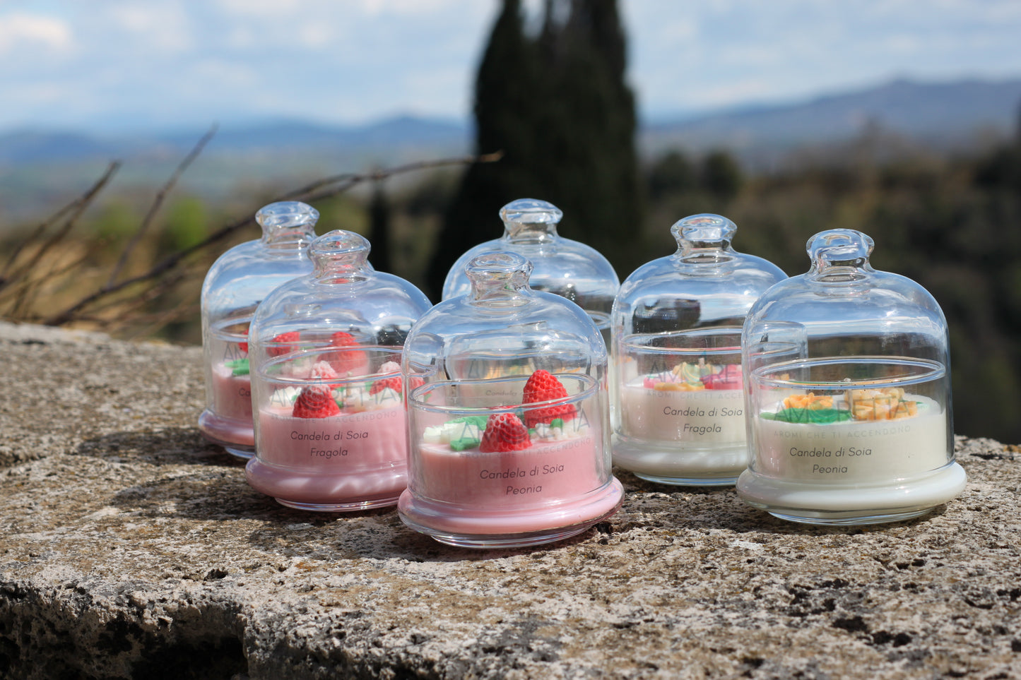 Peonia e Fragola