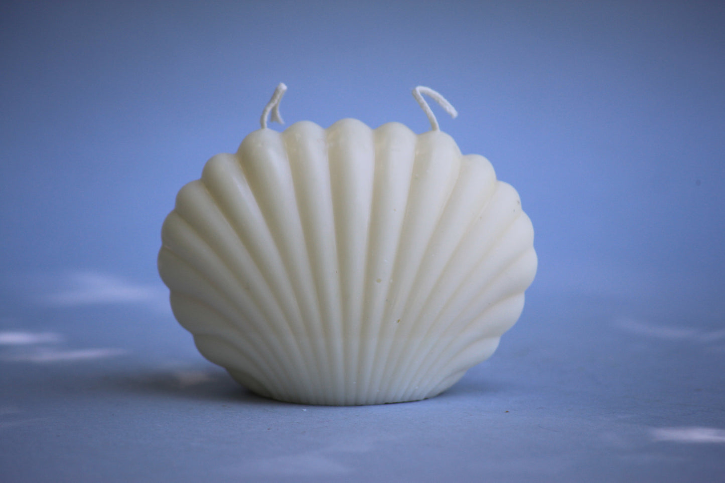 Medium Shell