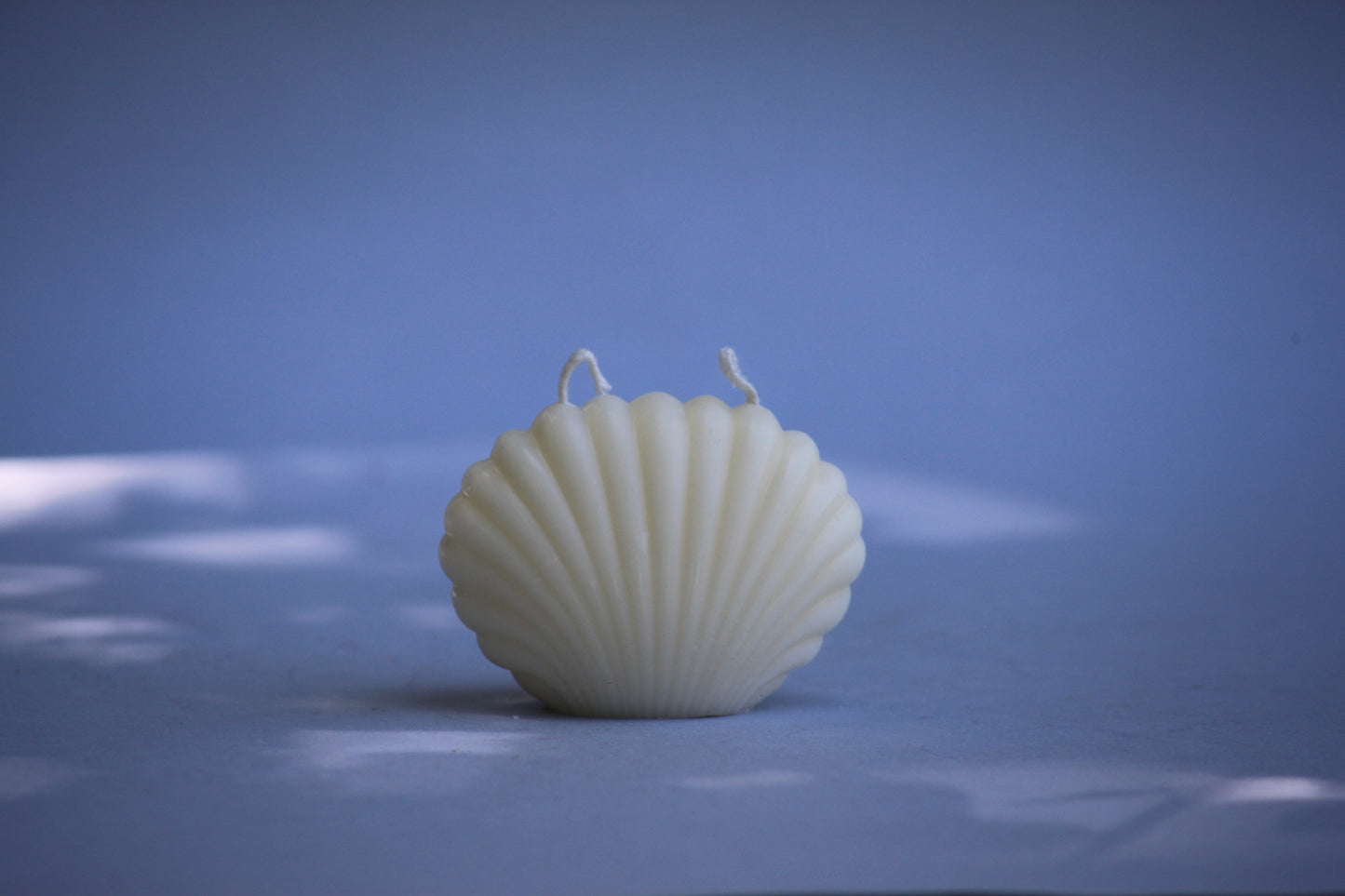 Medium Shell