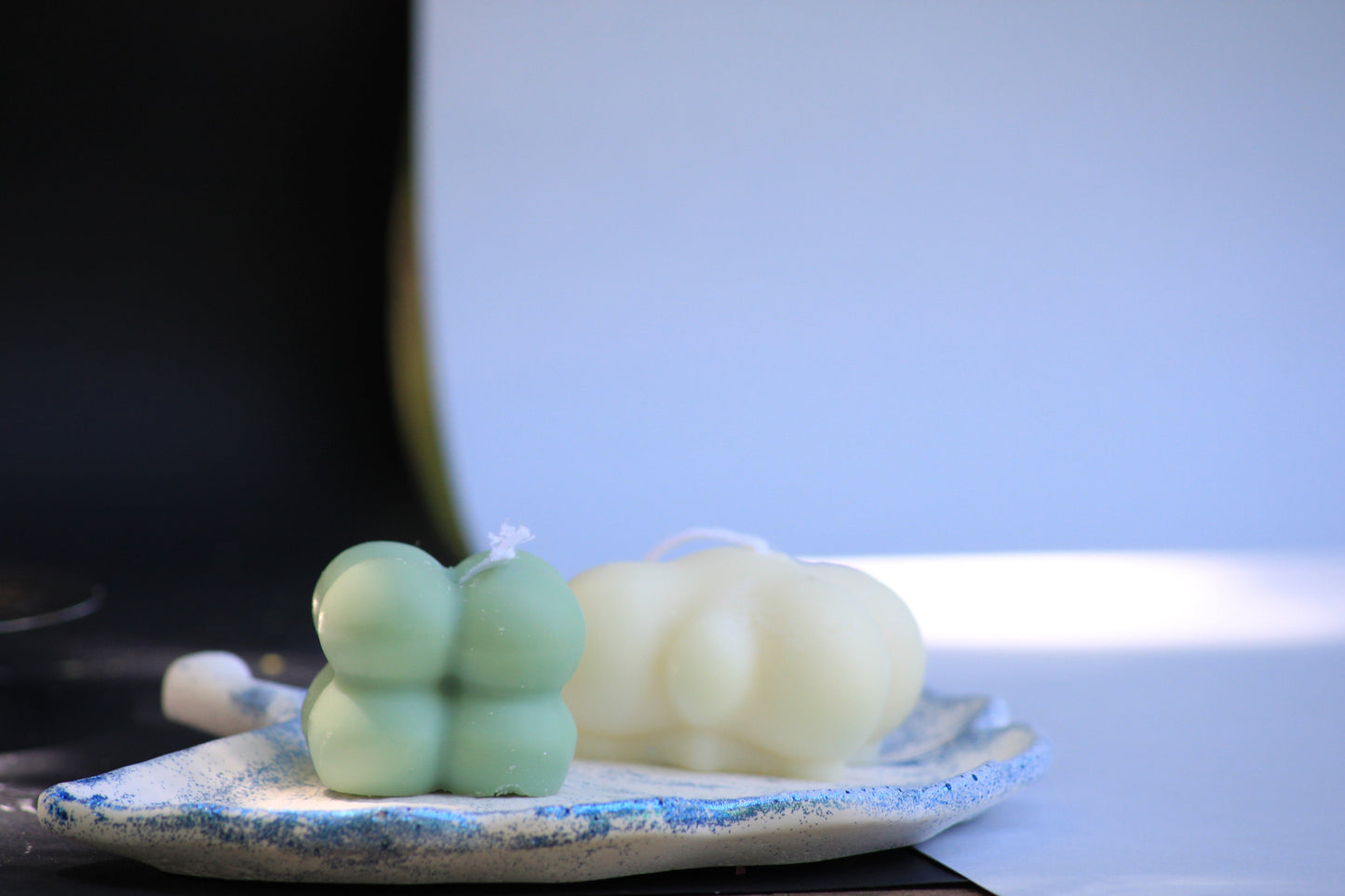Vassoio con foglie di Ginkgo