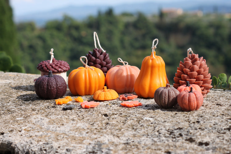 Autum Vibes