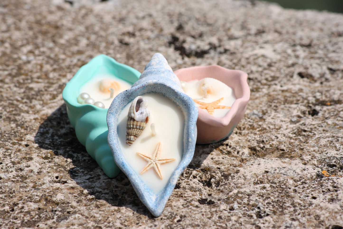 Conchiglie di mare