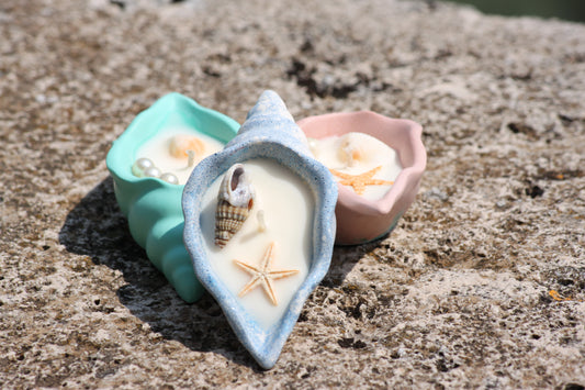 Conchiglie di mare