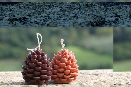 Cono di Pino