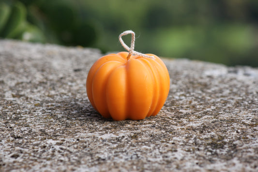 Zucca
