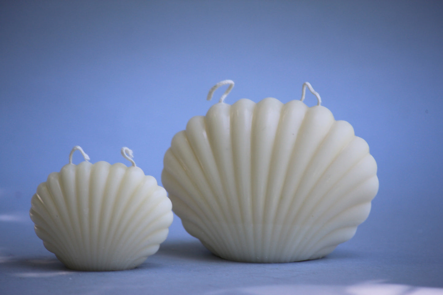 Medium Shell